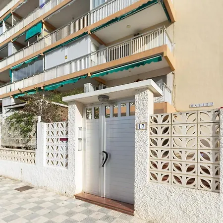 Oasis Gandia
